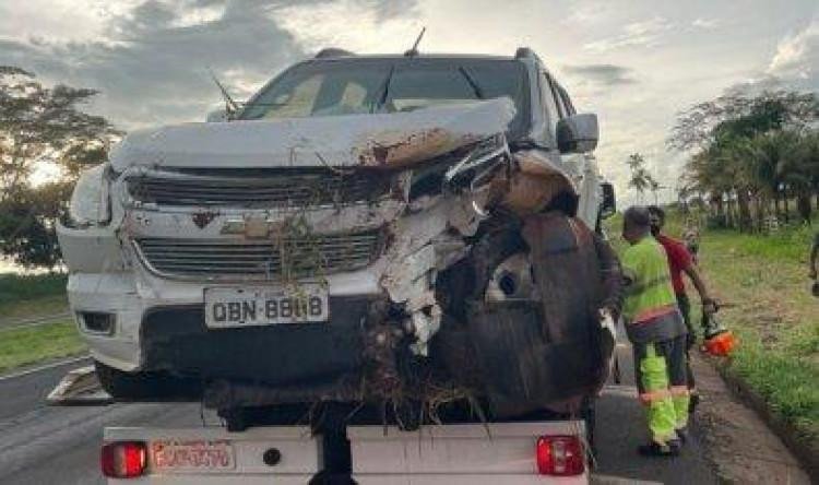 Mãe do ex-deputado Ezequiel Fonseca morre em acidente no interior de São Paulo