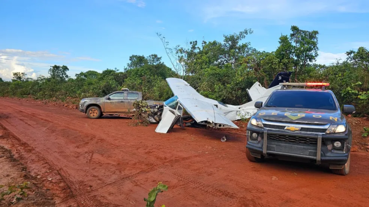 Avião cai e polícia encontra mais de 450 kg de droga em MT